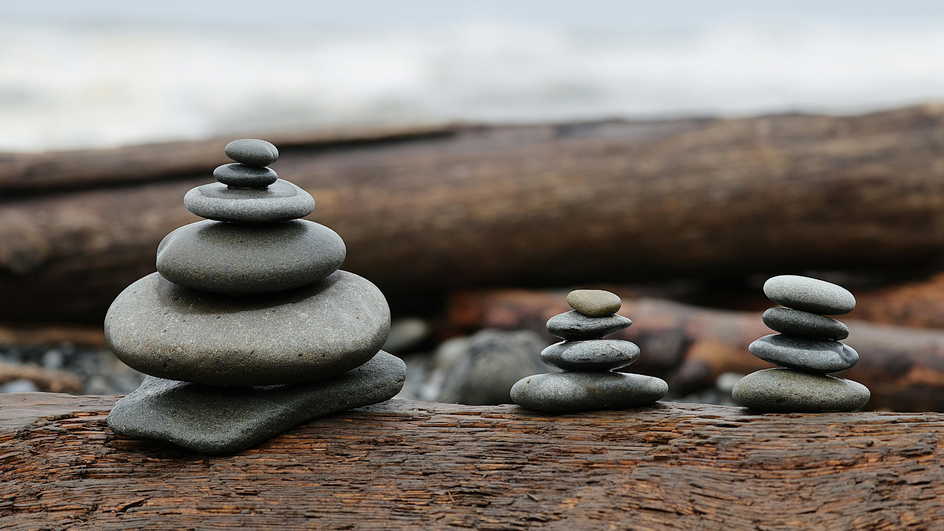 Half Day Zen Meditation Retreat