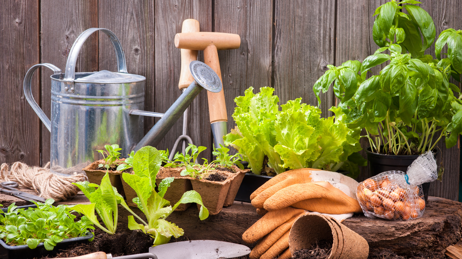 Spring Karma Yoga: Sangha House Clean Up